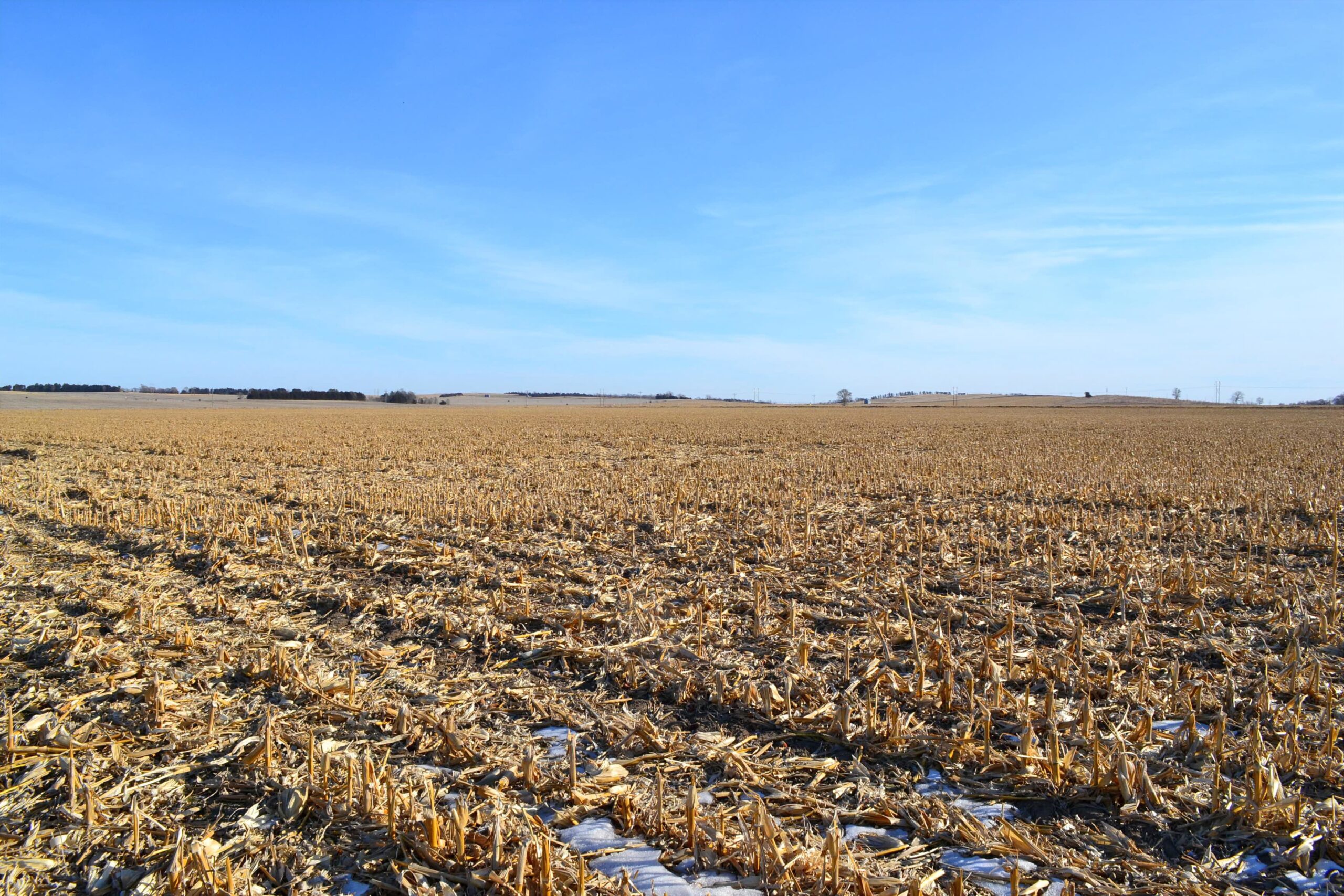 Madison County Irrigated Farm For Sale