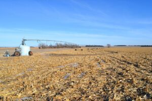 Irrigated Farm For Sale in Madison County, NE