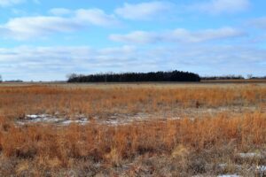 Holt County, Nebraska Pasture for Sale