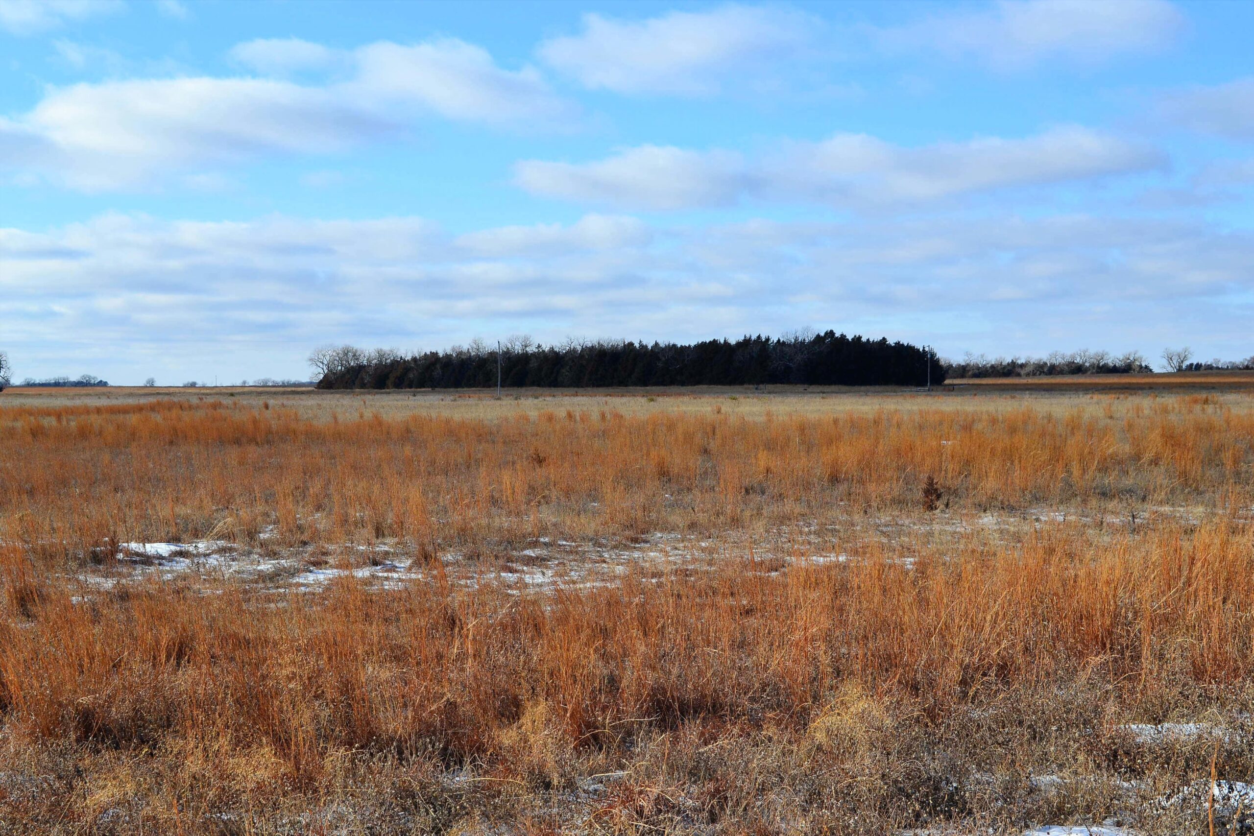 Holt County, Nebraska Pasture for Sale