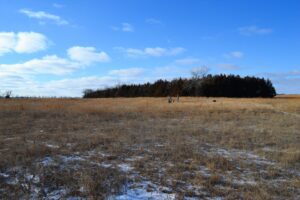Holt County, Nebraska Pasture for Sale