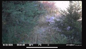 Holt County, Nebraska Dry Cropland Hunting Paradise For Sale