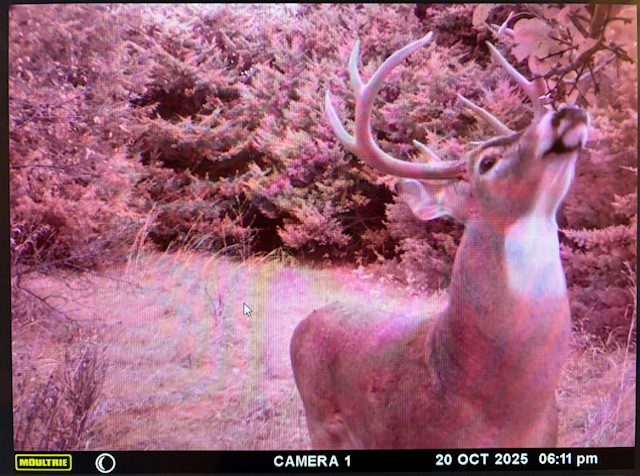 Holt County, Nebraska Dry Cropland Hunting Paradise For Sale