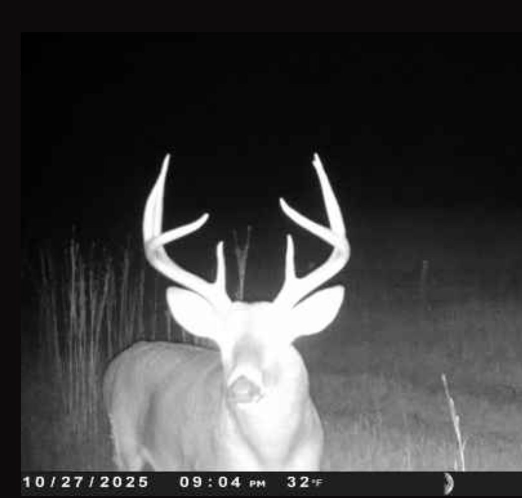 Holt County, Nebraska Dry Cropland Hunting Paradise For Sale