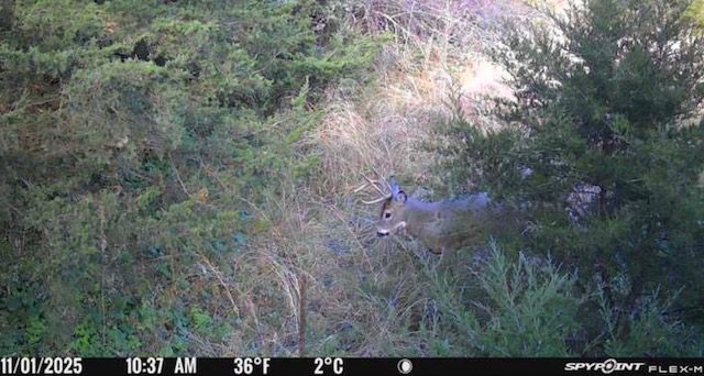 Holt County, Nebraska Dry Cropland Hunting Paradise For Sale