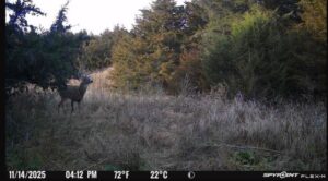 Holt County, Nebraska Dry Cropland Hunting Paradise For Sale