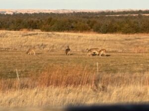Holt County, Nebraska Dry Cropland Hunting Paradise For Sale