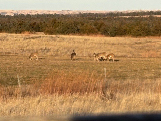 Holt County, Nebraska Dry Cropland Hunting Paradise For Sale