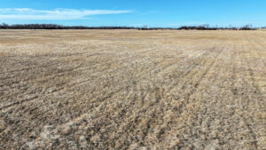 Brown County Sub-Irrigated Meadow For Sale