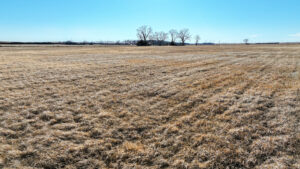 Brown County Sub-Irrigated Meadow For Sale