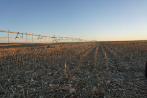 Holt County Irrigated Farm
