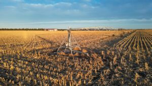 Brown County Irrigated Farm for Sale With Home & Shop