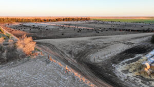 Holt County, Nebraska Irrigated Farm/Backgrounding Unit