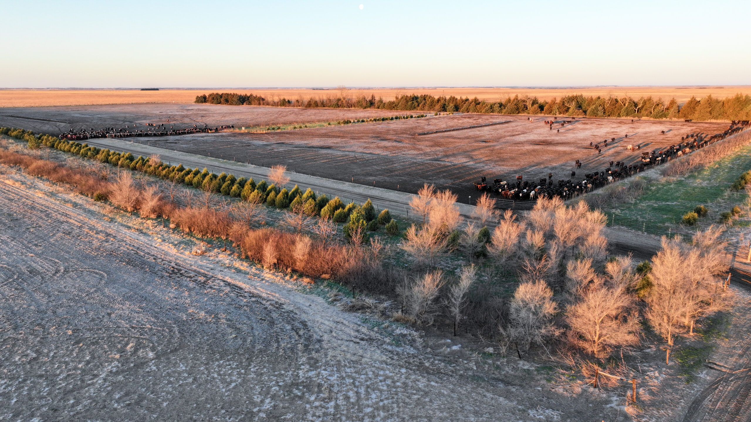 Holt County, Nebraska Irrigated Farm/Backgrounding Unit