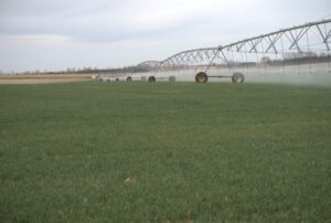 Holt County, Nebraska Irrigated Farm for Sale