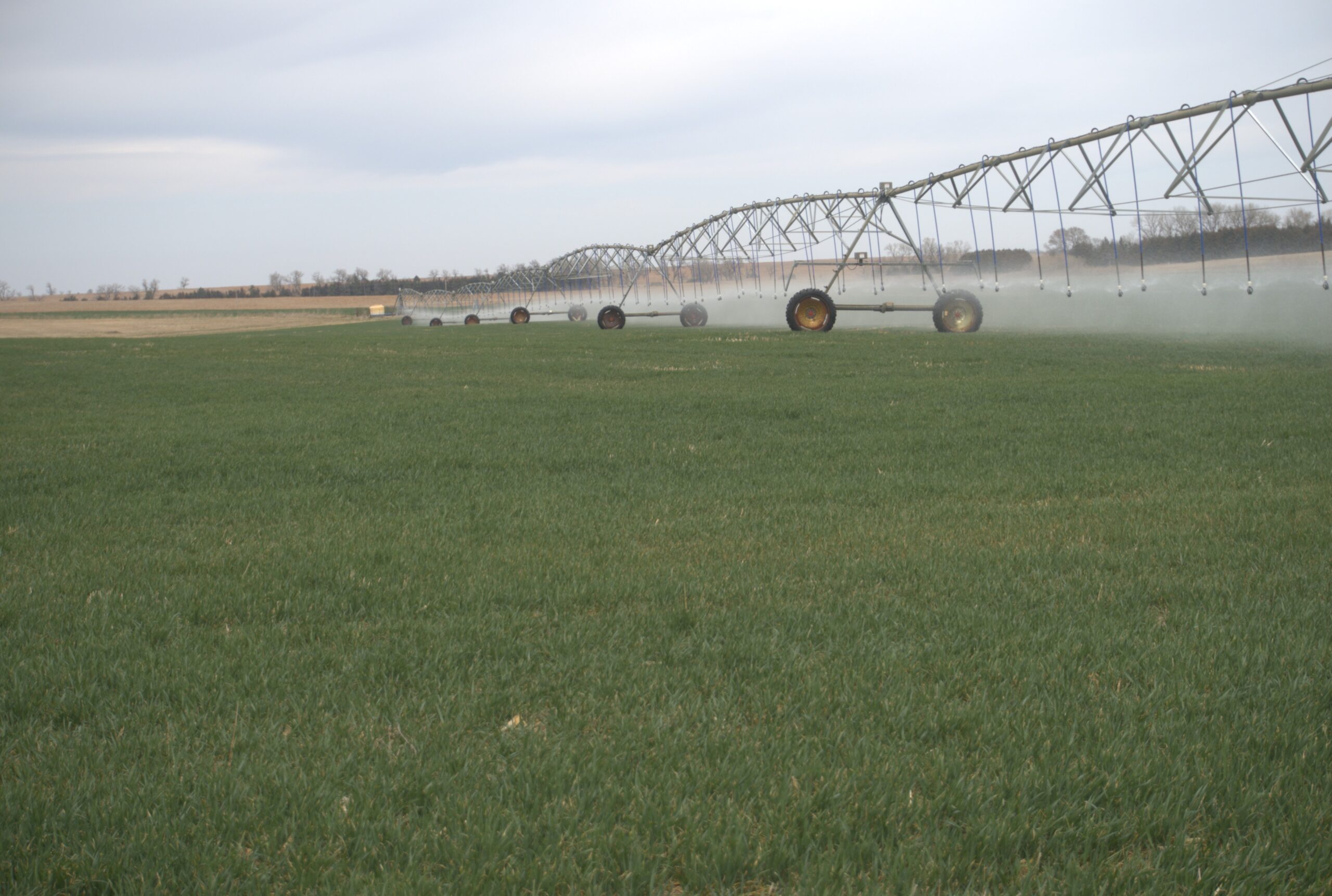 Holt County, Nebraska Irrigated Farm/Backgrounding Unit