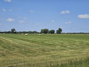 Madison County, Nebraska Hay Meadow For Sale