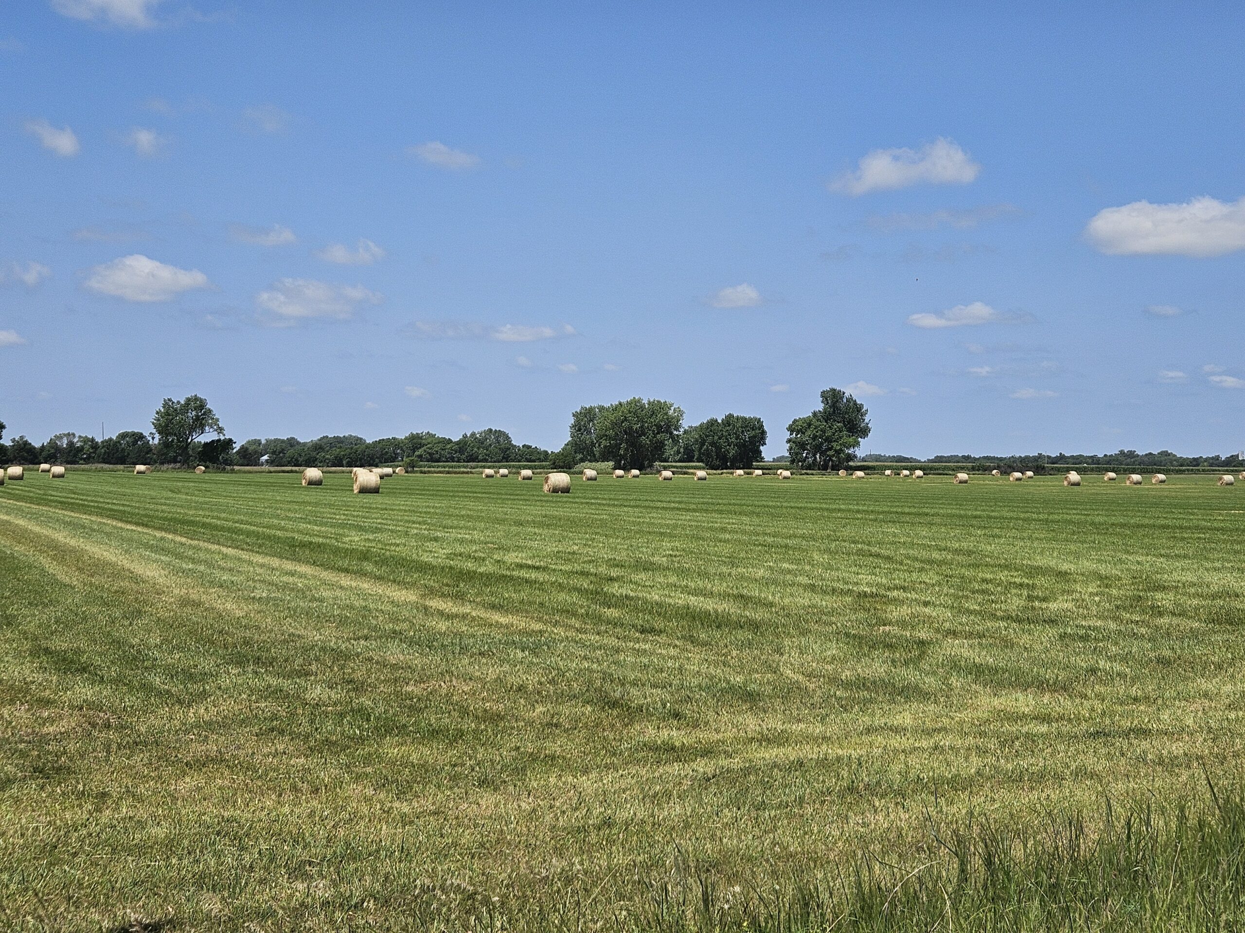Madison County, Nebraska Hay Meadow For Sale