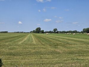 Madison County, Nebraska Hay Meadow For Sale