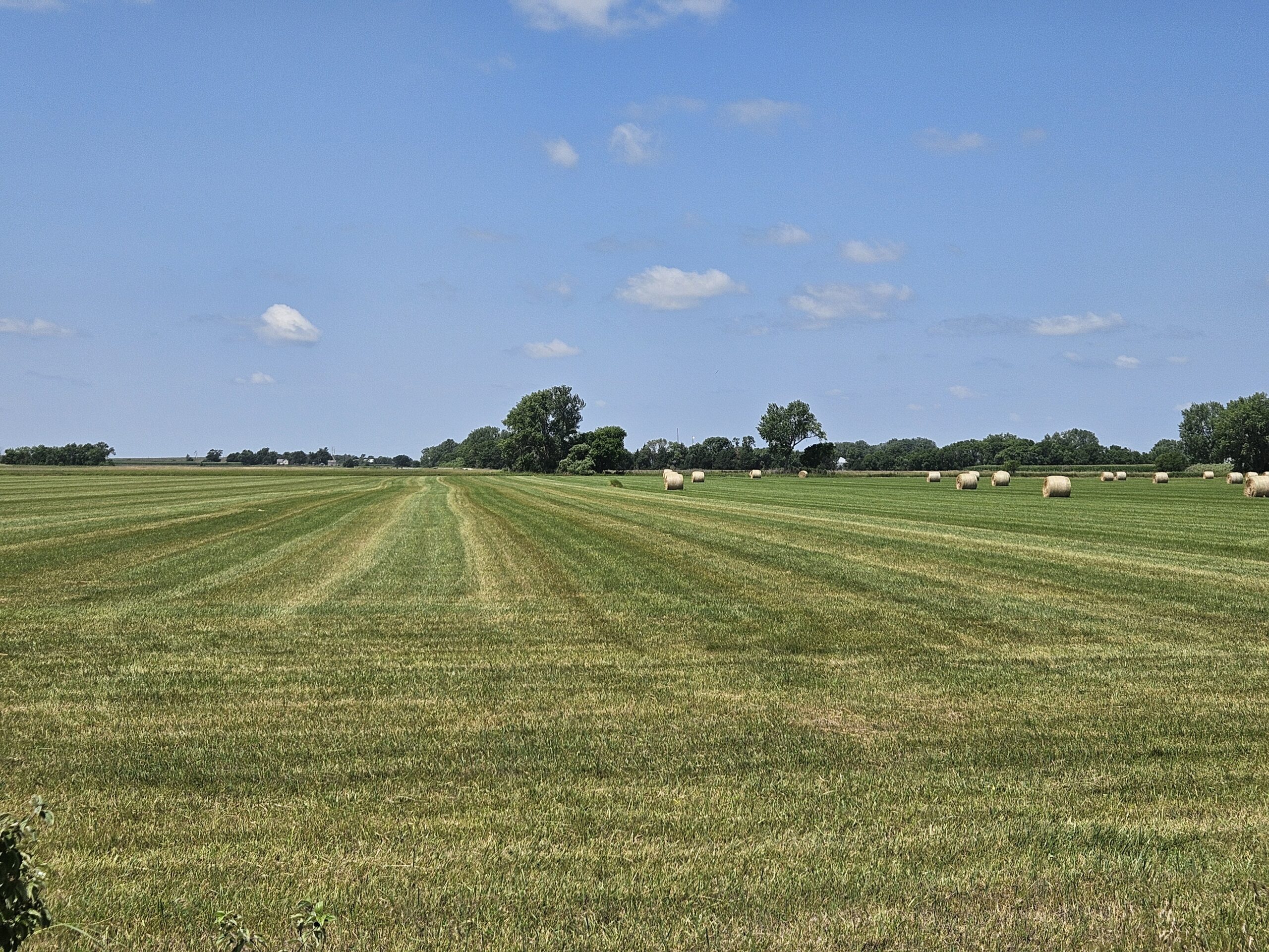 Madison County, Nebraska Hay Meadow For Sale