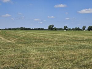 Madison County, Nebraska Hay Meadow For Sale