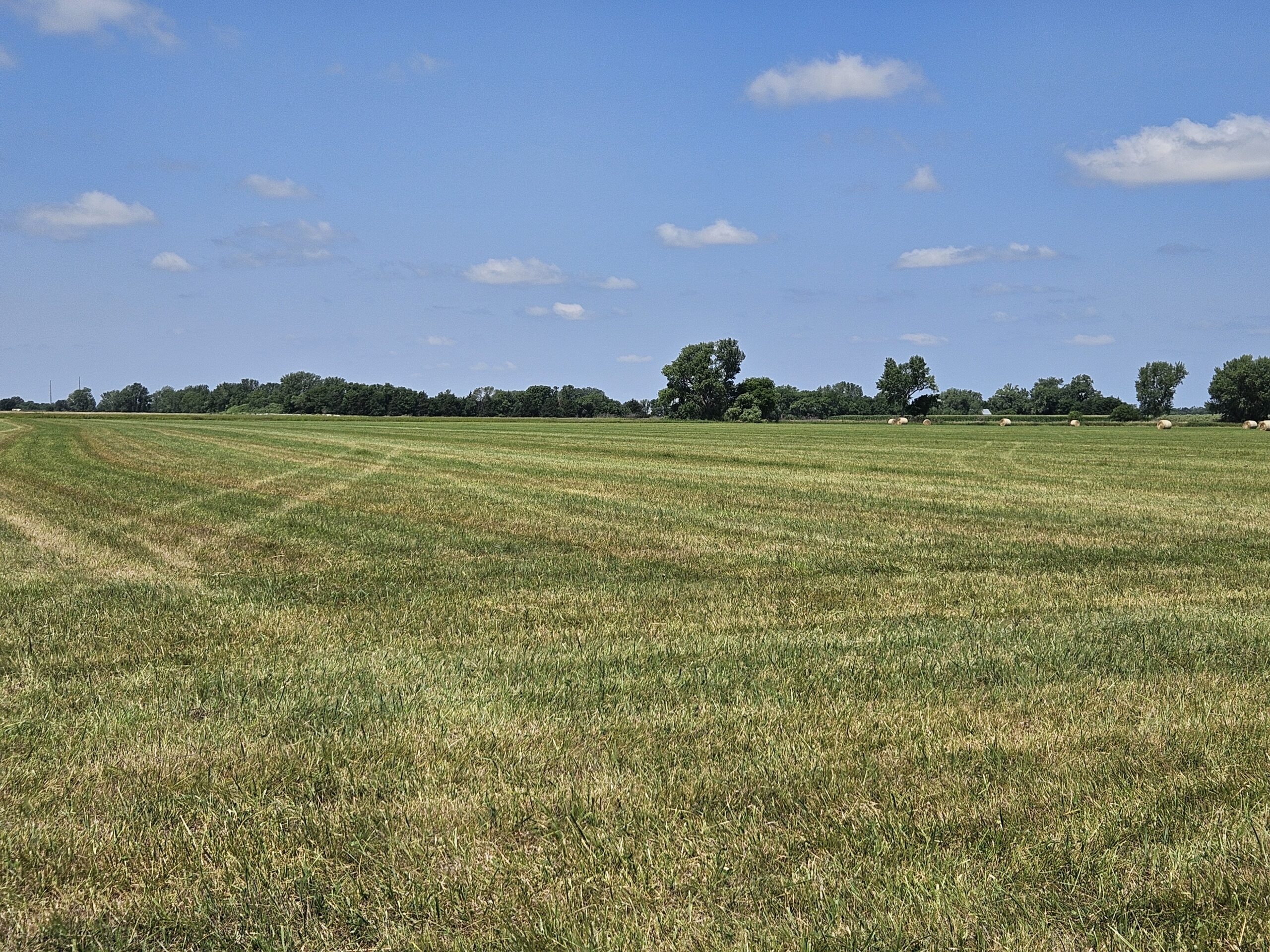 Madison County, Nebraska Hay Meadow For Sale