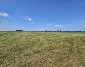Madison County, Nebraska Hay Meadow For Sale