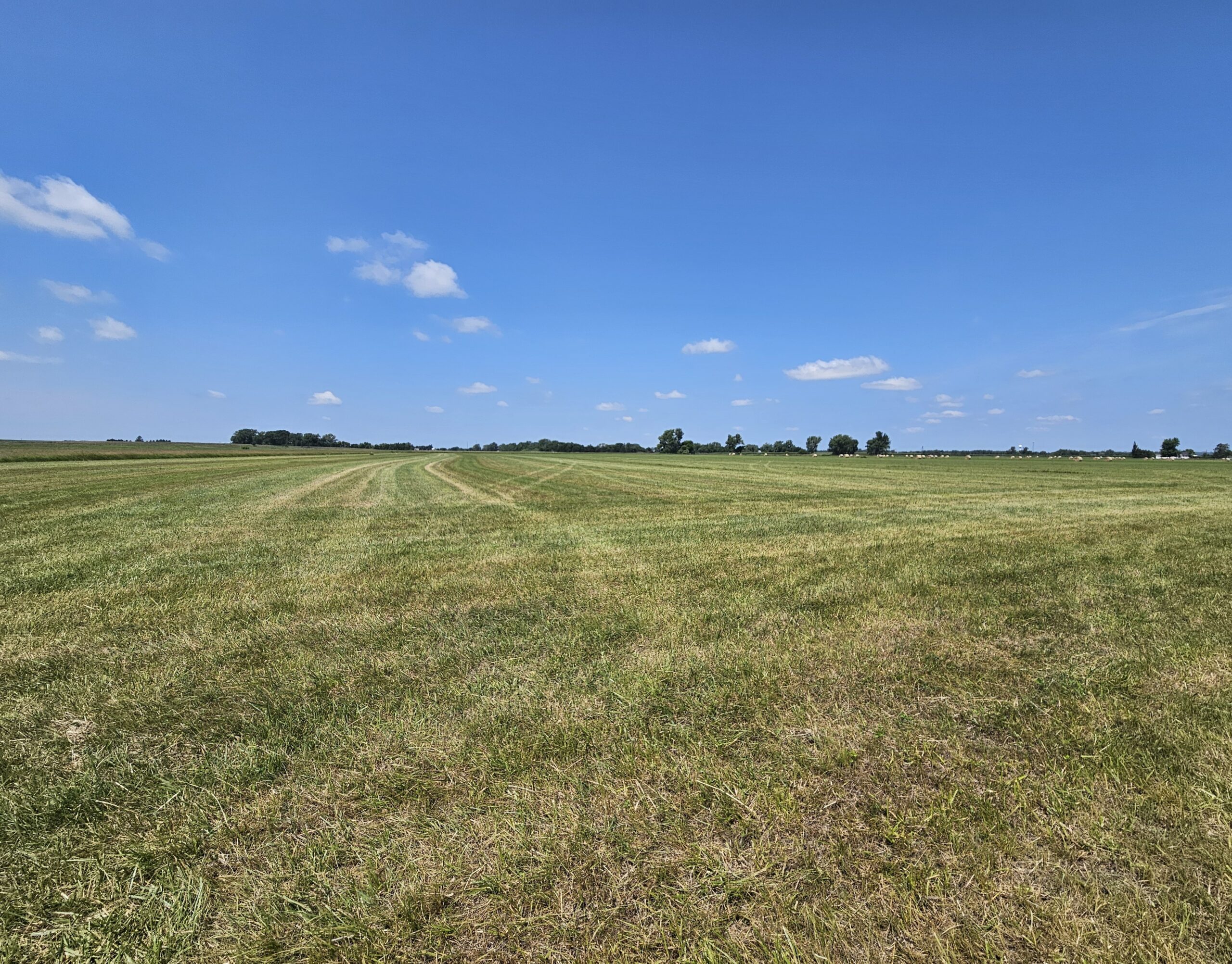 Madison County, Nebraska Hay Meadow For Sale