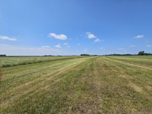 Madison County, Nebraska Hay Meadow For Sale