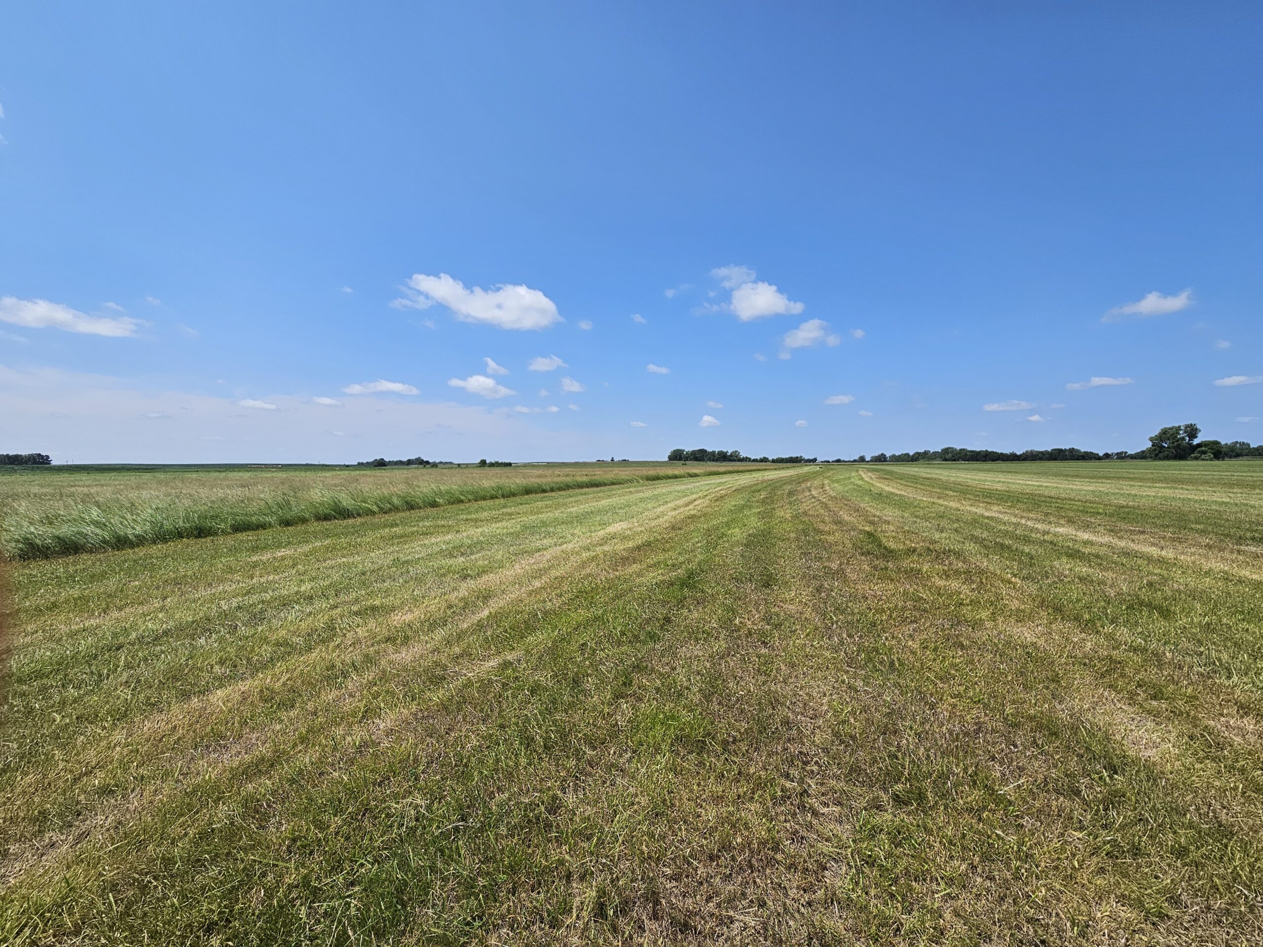 Madison County, Nebraska Hay Meadow For Sale