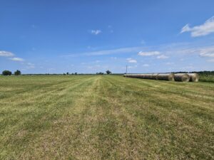 Madison County, Nebraska Hay Meadow For Sale