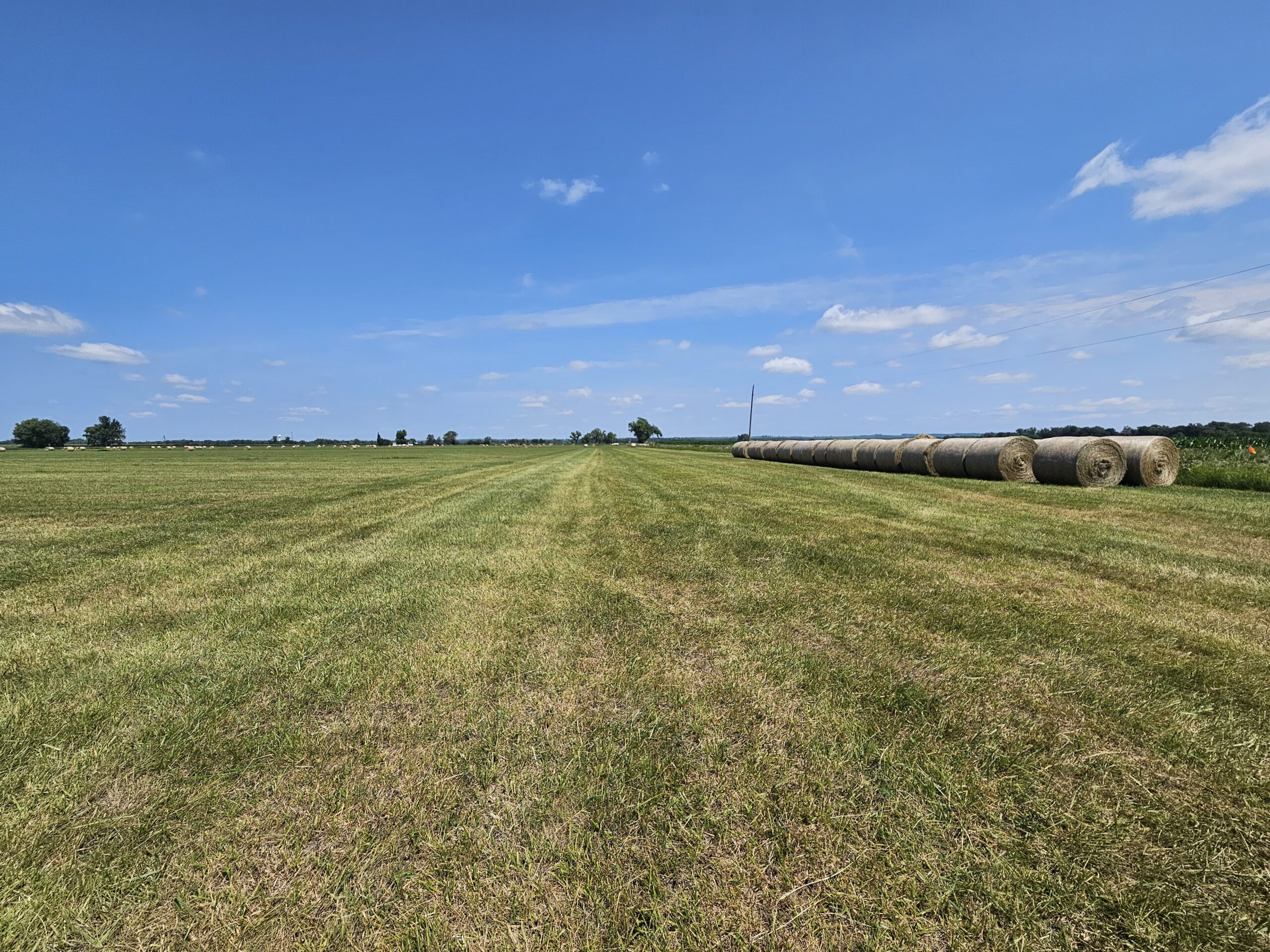 Madison County, Nebraska Hay Meadow For Sale
