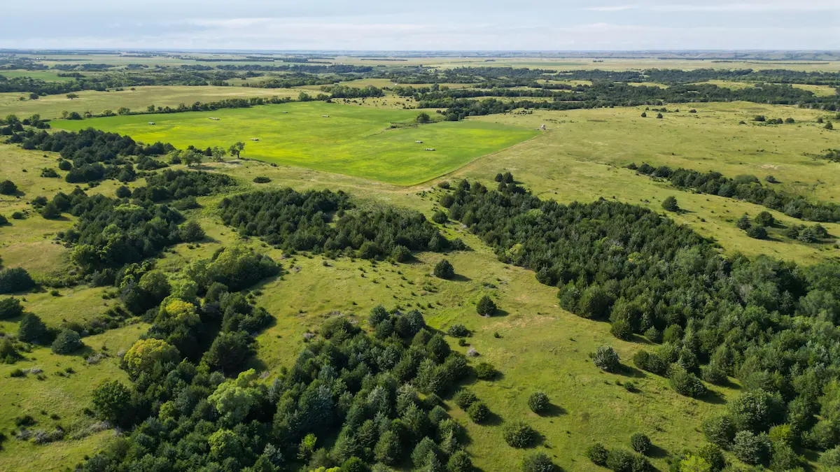 Hunting Land and Pasture for Sale - Holt County, NE | Hunting Ground for Sale