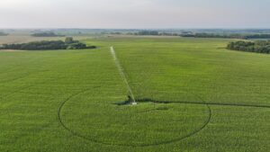 Pierce County, Nebraska Irrigated Farms for Sale