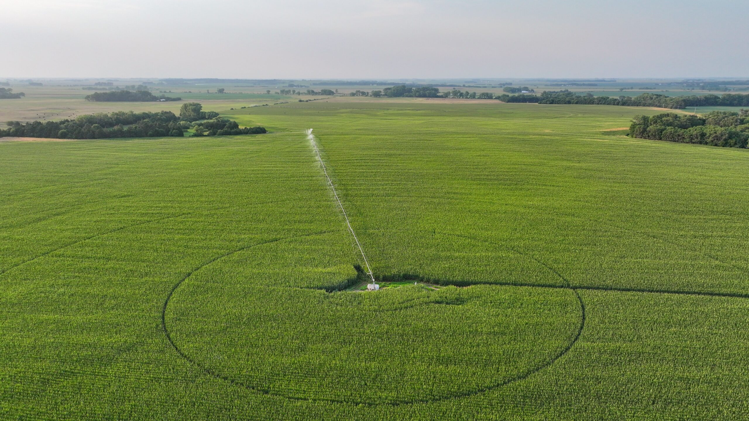 Pierce County, Nebraska Irrigated Farms for Sale