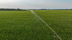 Pierce County, Nebraska Irrigated Farms for Sale