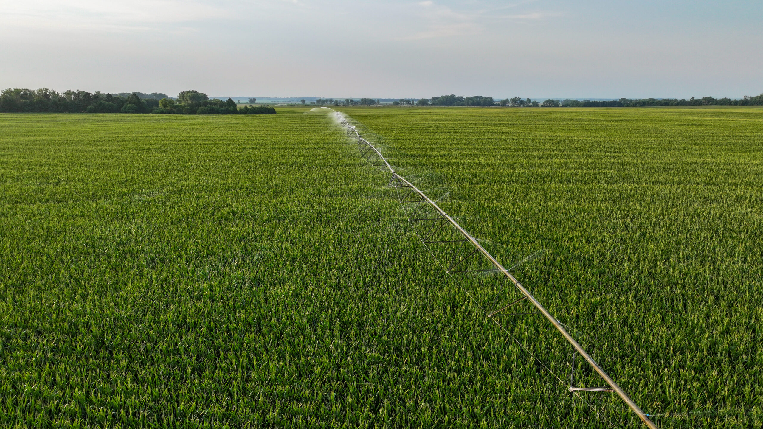 Pierce County, Nebraska Irrigated Farms for Sale