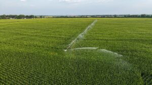 Pierce County, Nebraska Irrigated Farms for Sale