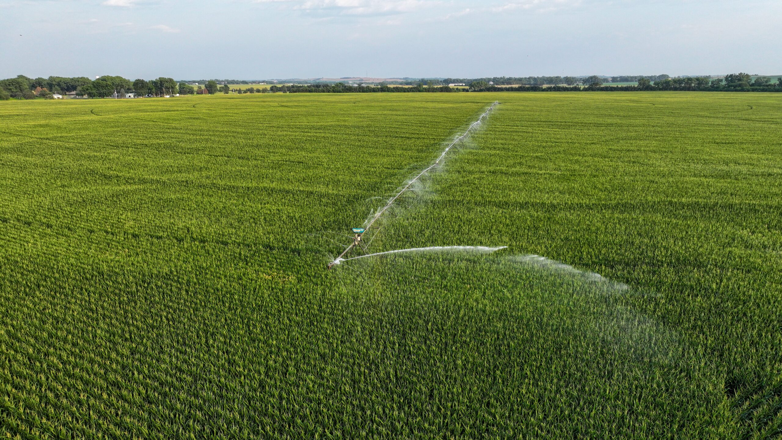 Pierce County, Nebraska Irrigated Farms for Sale
