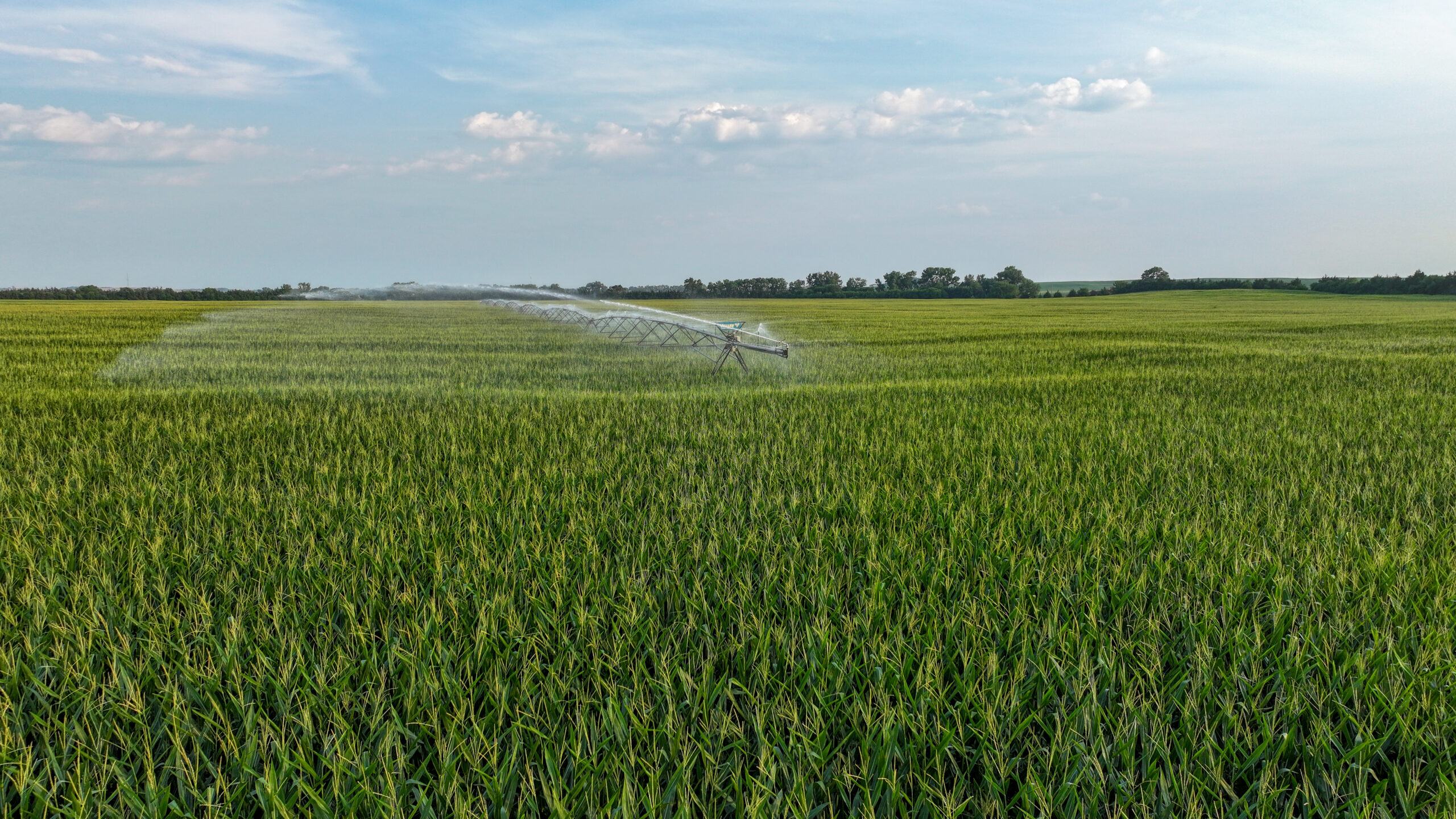 Pierce County, Nebraska Irrigated Farms for Sale