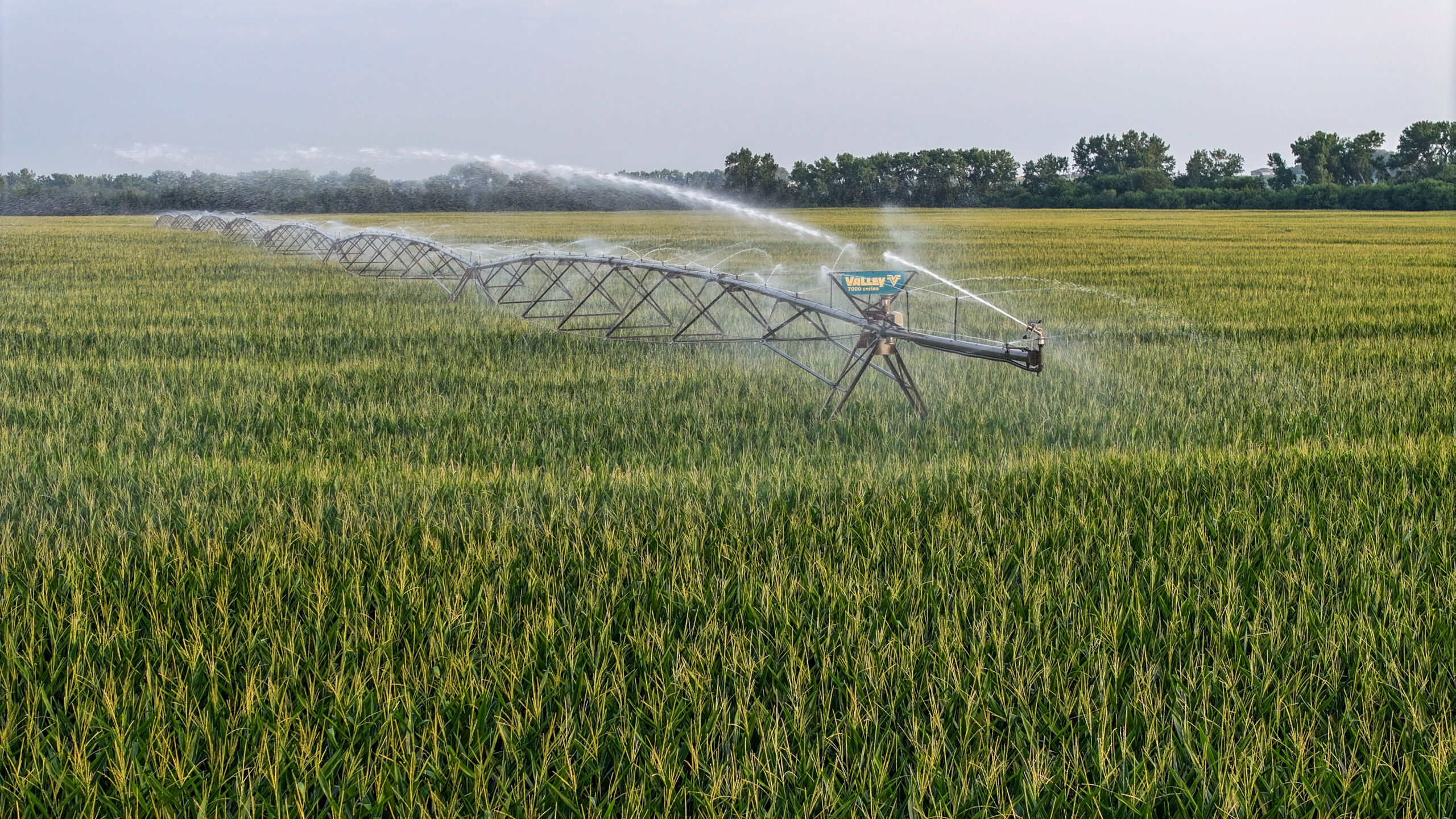 Pierce County, Nebraska Irrigated Farms for Sale