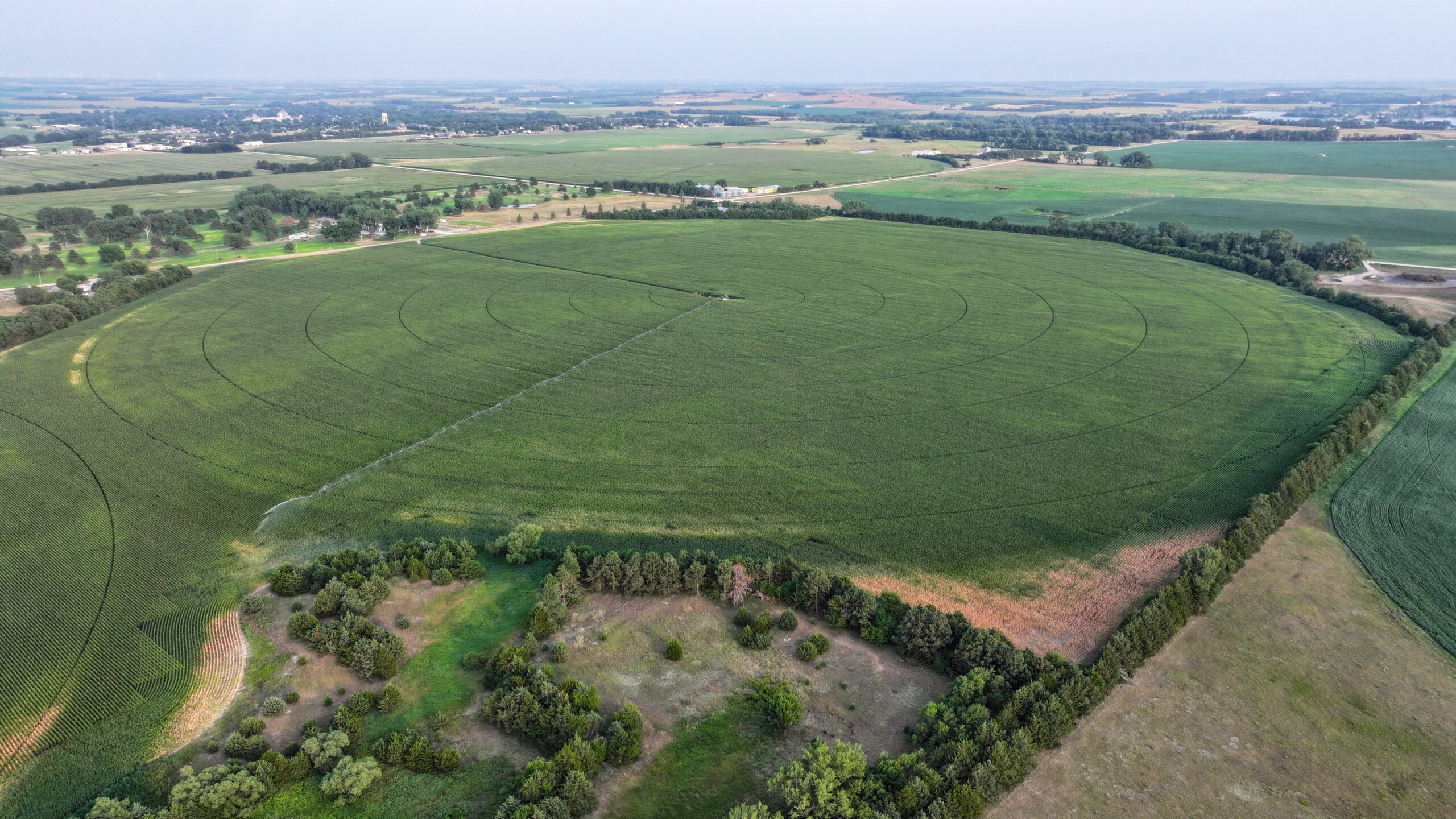 Pierce County, Nebraska Irrigated Farms for Sale
