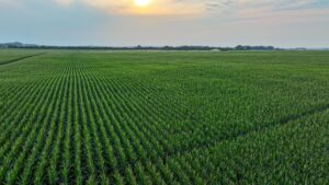 Pierce County, Nebraska Irrigated Farms for Sale