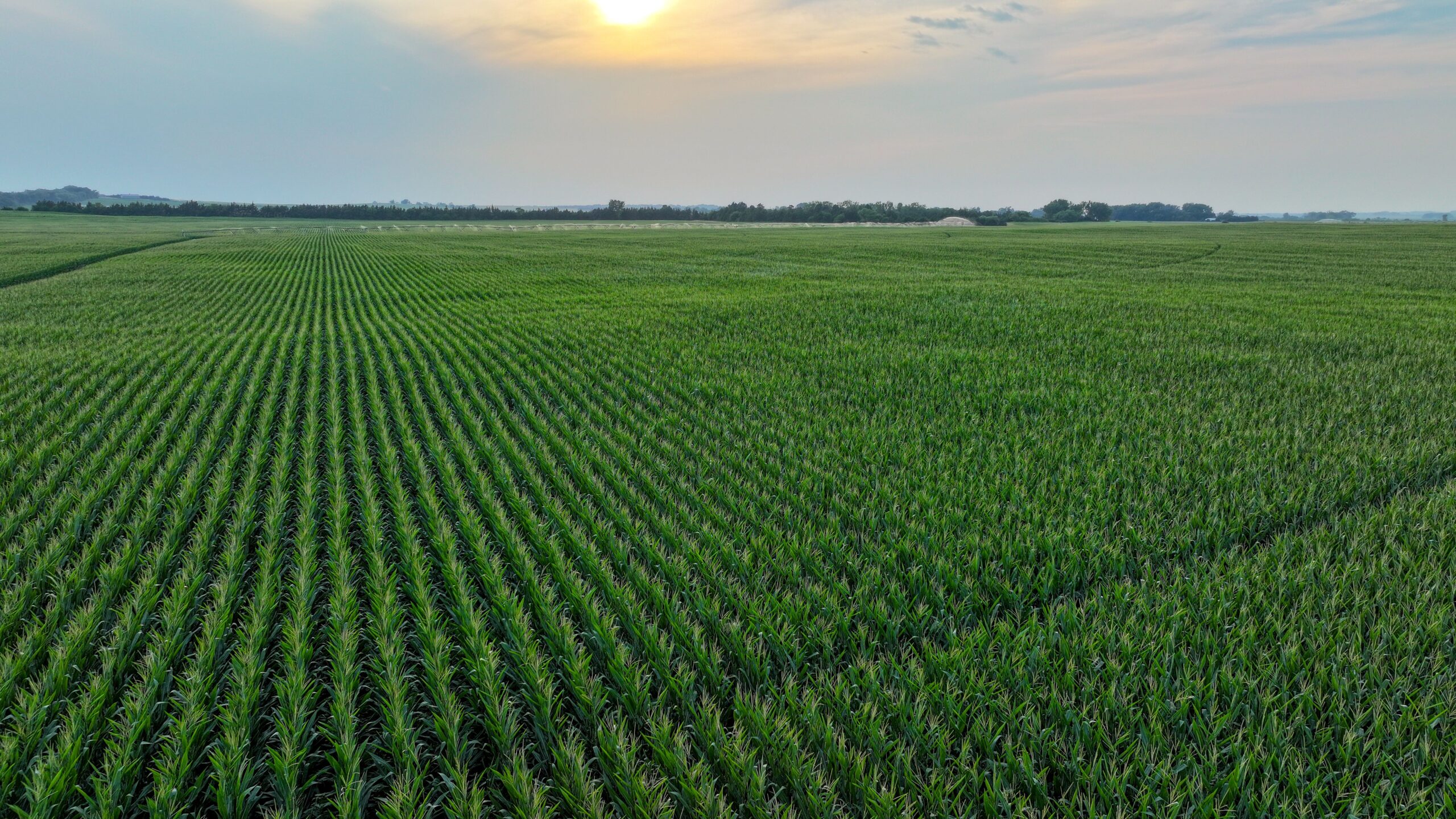 Pierce County, Nebraska Irrigated Farms for Sale