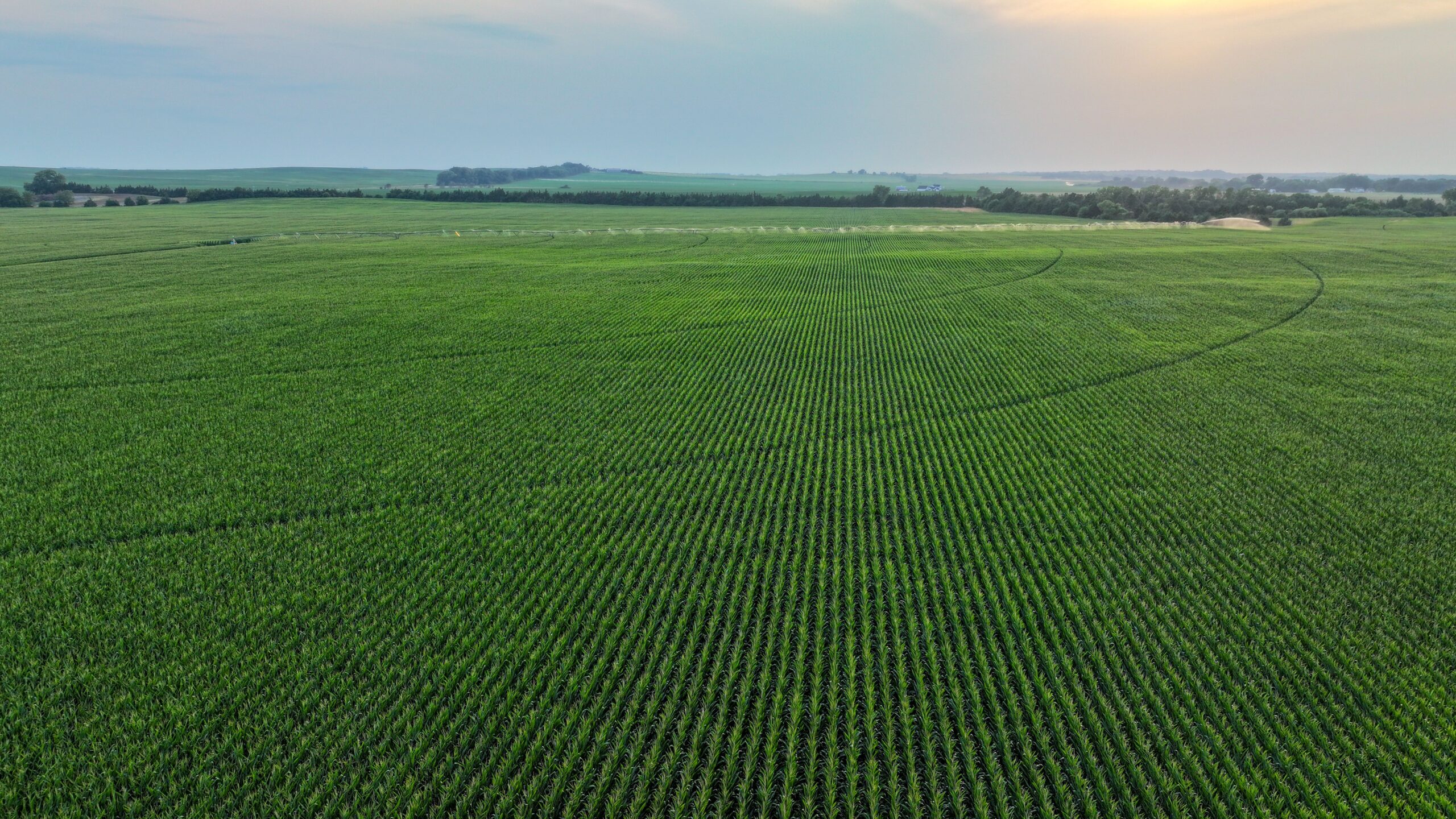 Pierce County, Nebraska Irrigated Farms for Sale