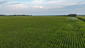 Pierce County, Nebraska Irrigated Farms for Sale