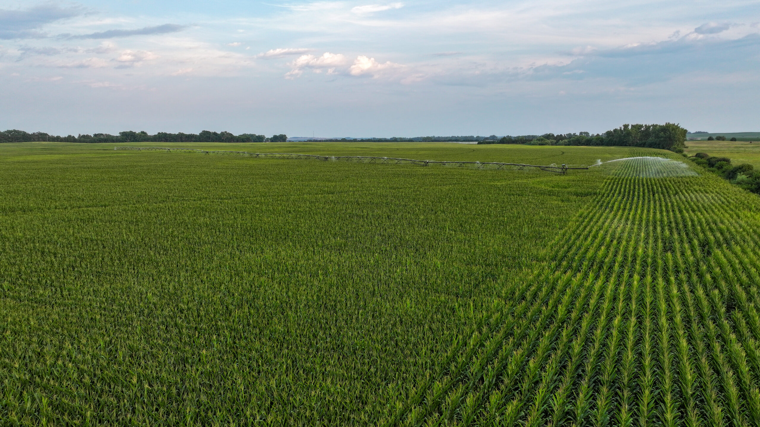 Pierce County, Nebraska Irrigated Farms for Sale