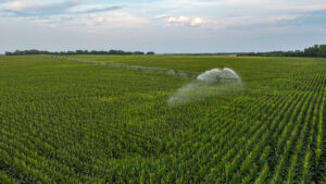 Pierce County, Nebraska Irrigated Farms for Sale