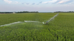 Pierce County, Nebraska Irrigated Farms for Sale