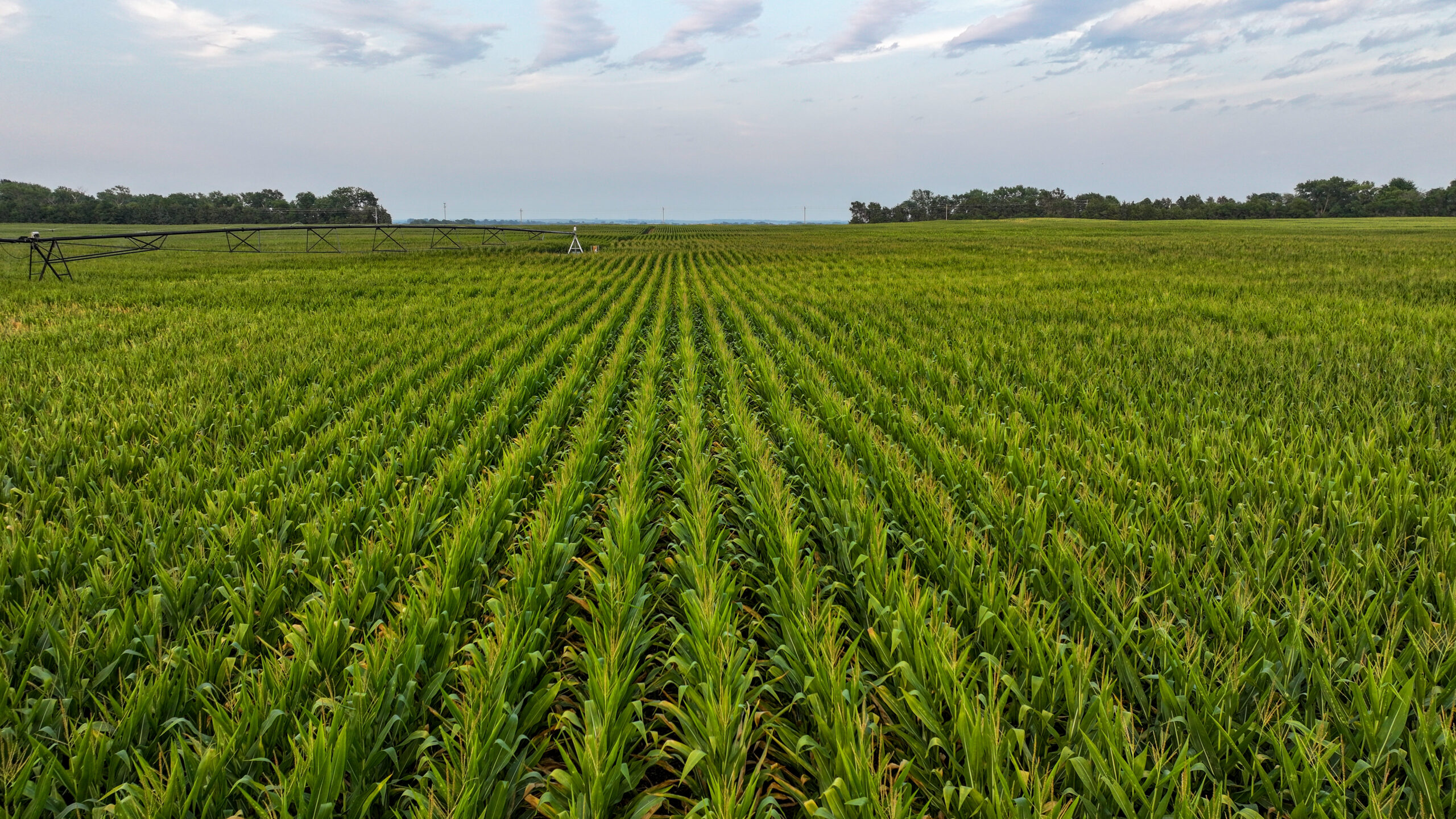 Pierce County, Nebraska Irrigated Farms for Sale